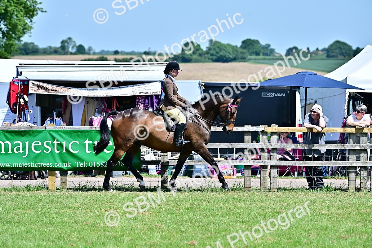 SBM_17445 - Class 95-97 - BSPS LHS Performance Ponies