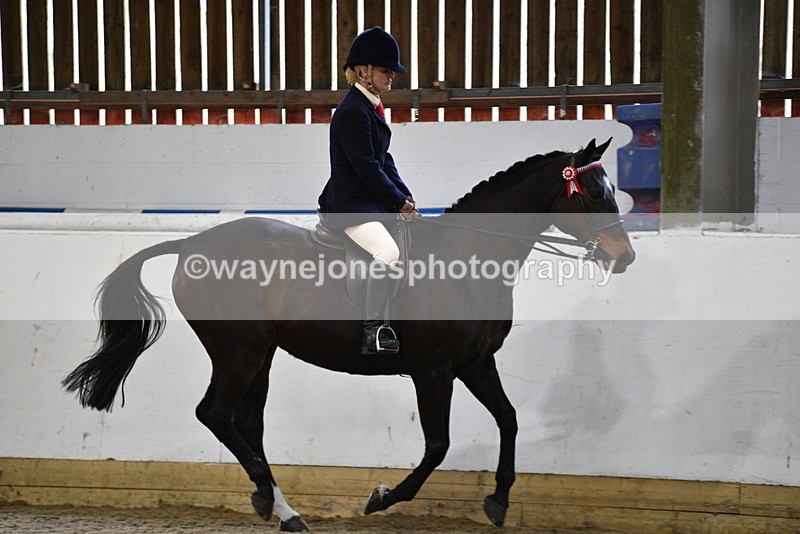 WJ5_7858 - Class 13 Ridden Part Breed