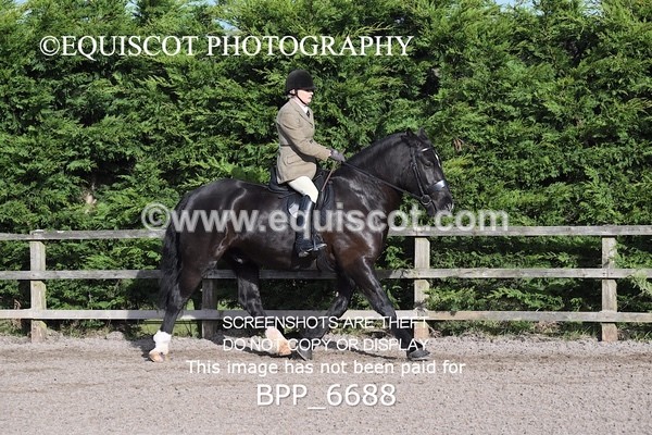 BPP_6688 - RING 1  (RIDDEN HORSES / IN HAND / VETERAN ETC)