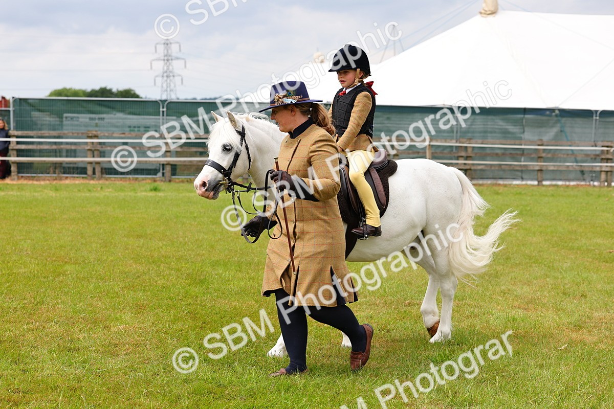 SBM_08187 - Class 42-43 - LIHS BSPS Heritage Working Sports Pony