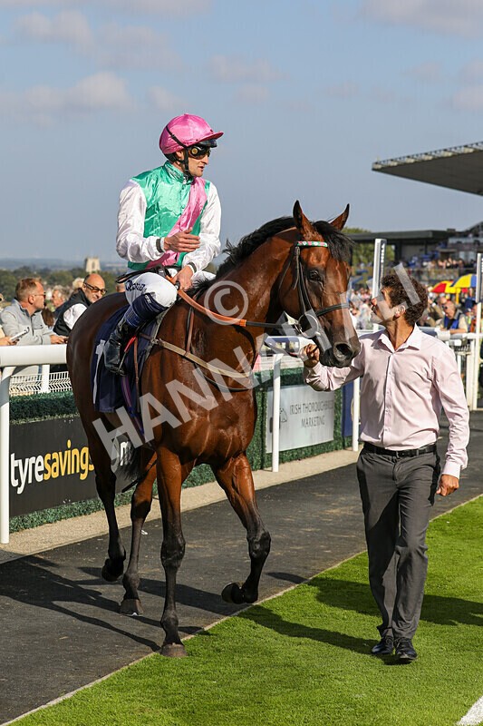 310824-Race 6-Amphius-1971 - Race 6