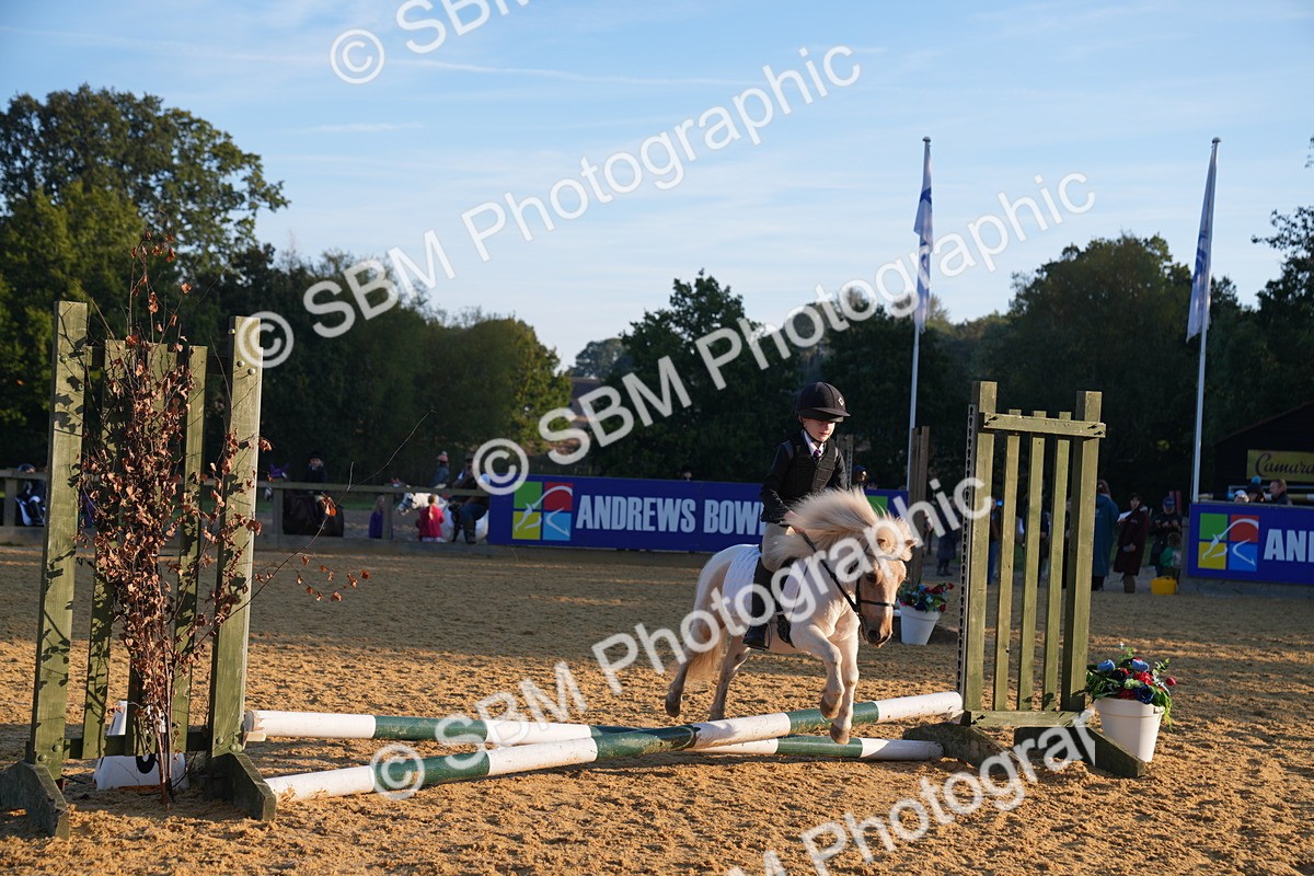 SBM_58907 - J63 - Minis Clear Round 30cm 40cm