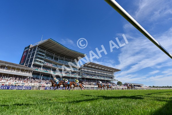 120725-Race 5-Amazing Journey-7146 - Race 5 4.15pm John Smith's Nursery Handicap