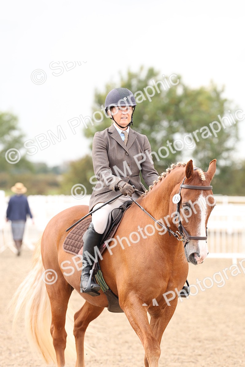 SBM_07469 - Class 59a -  Style & Performance - 80cm (15-19)