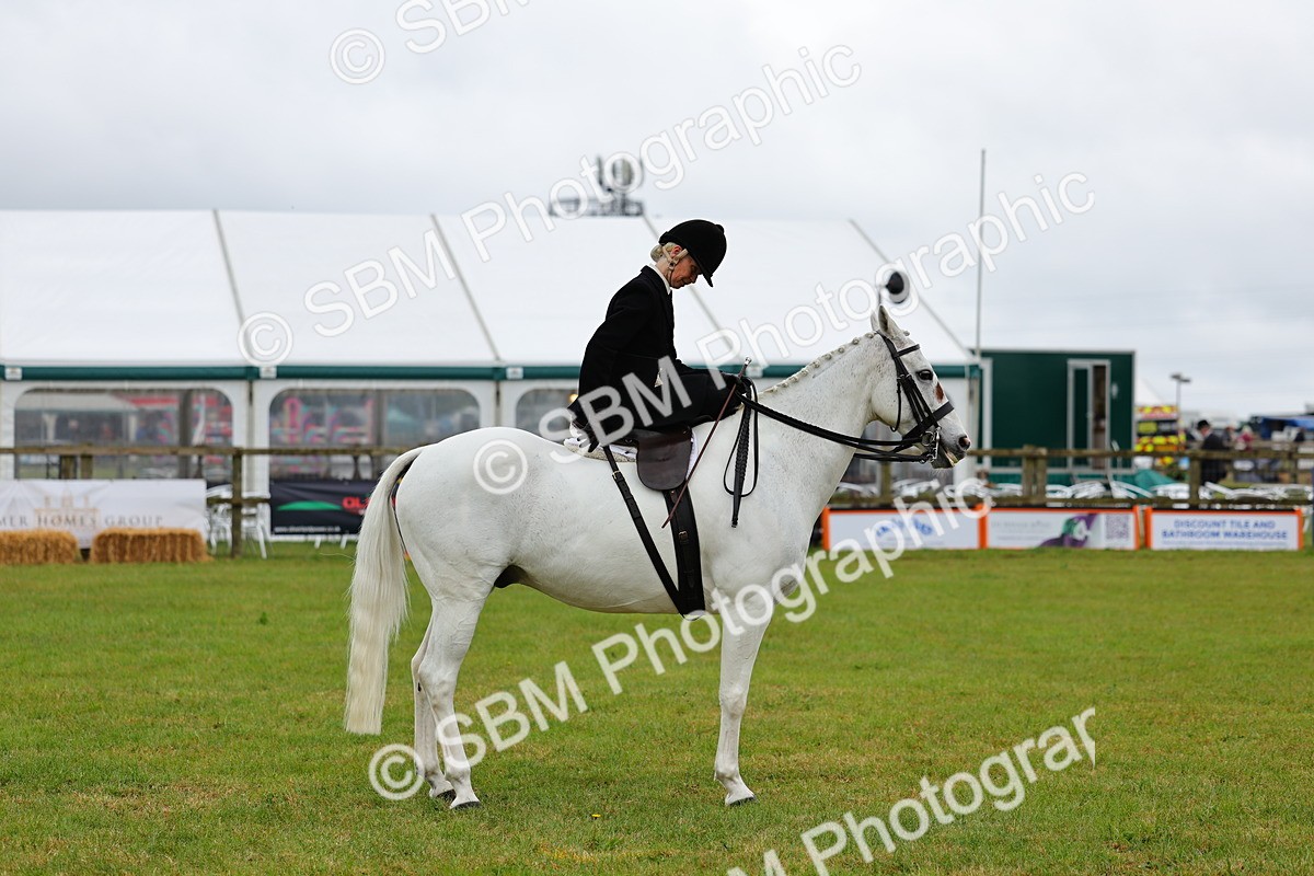 SBM_02747 - Class 9-11 Side Saddle including LIHS Rising Star Ladies Show Horse