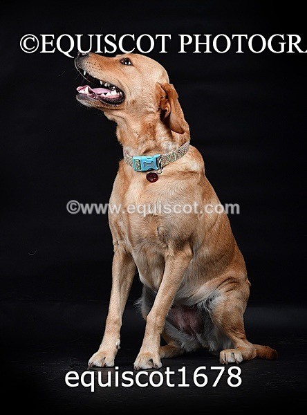 equiscot1678 - MOLLY & MACEY