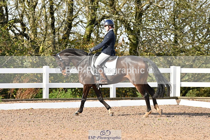 231104A-120811-00371 - Cls 7 Elementary 43