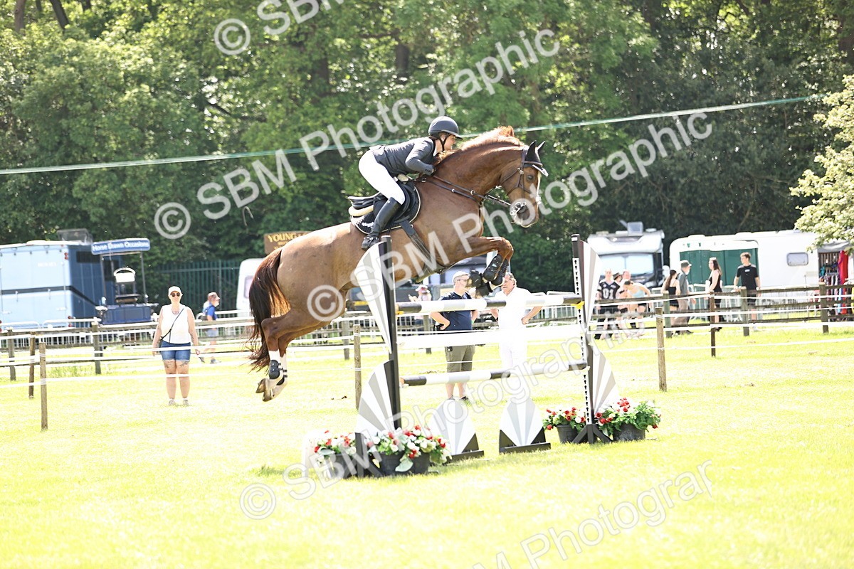 SBM_04012 - Class 201 - British Horse Feedds Speedi Beet HOYS Grade C