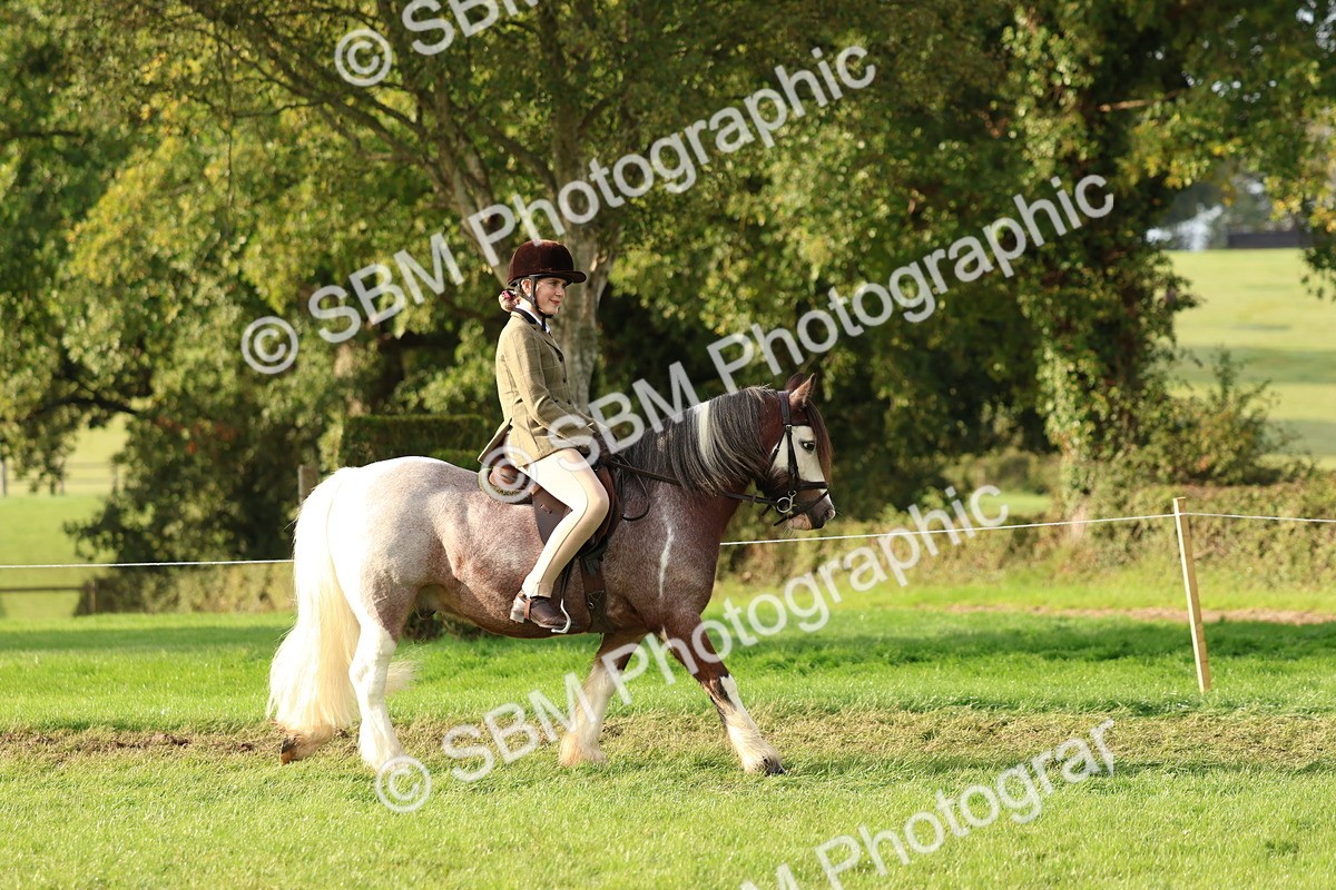 SBM_56520 - S40 - Starters Ridden Showing
