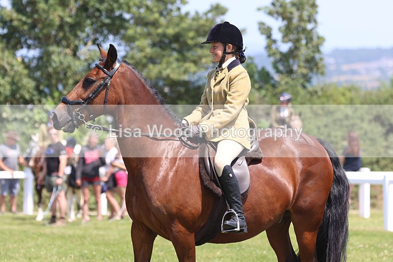 JPP_2981 - Class 22: Working Hunter 70cm