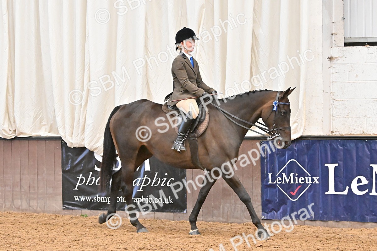 SBM_002328 - Class 22 - BSHA Ridden Hack & Riding Horse