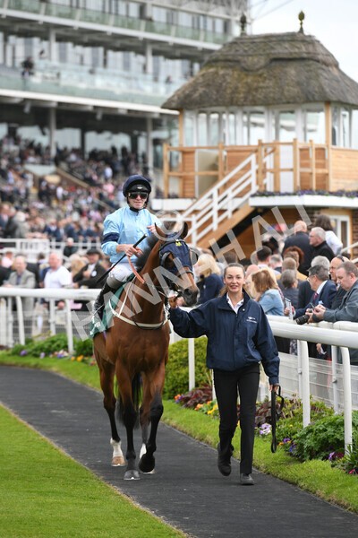 yr13052022r4-1 - Race 4 3.35pm The Paddy Power Yorkshire Cup (British Champions Series Race)