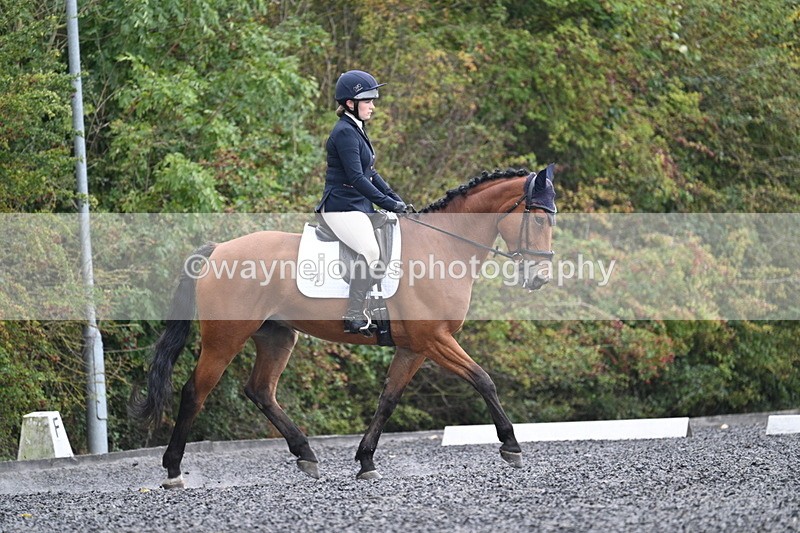 WJ7_3383 - Time 09:54 to 10:54