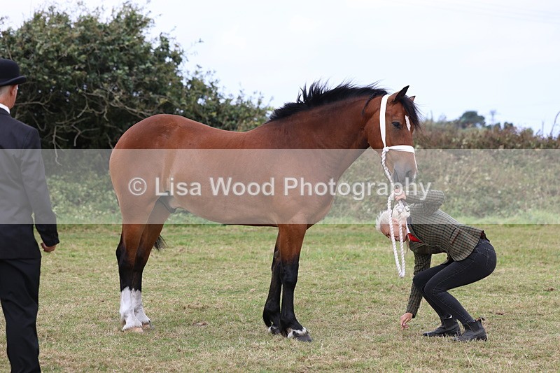 3E7A4427 - Class 15: Three Year Olds