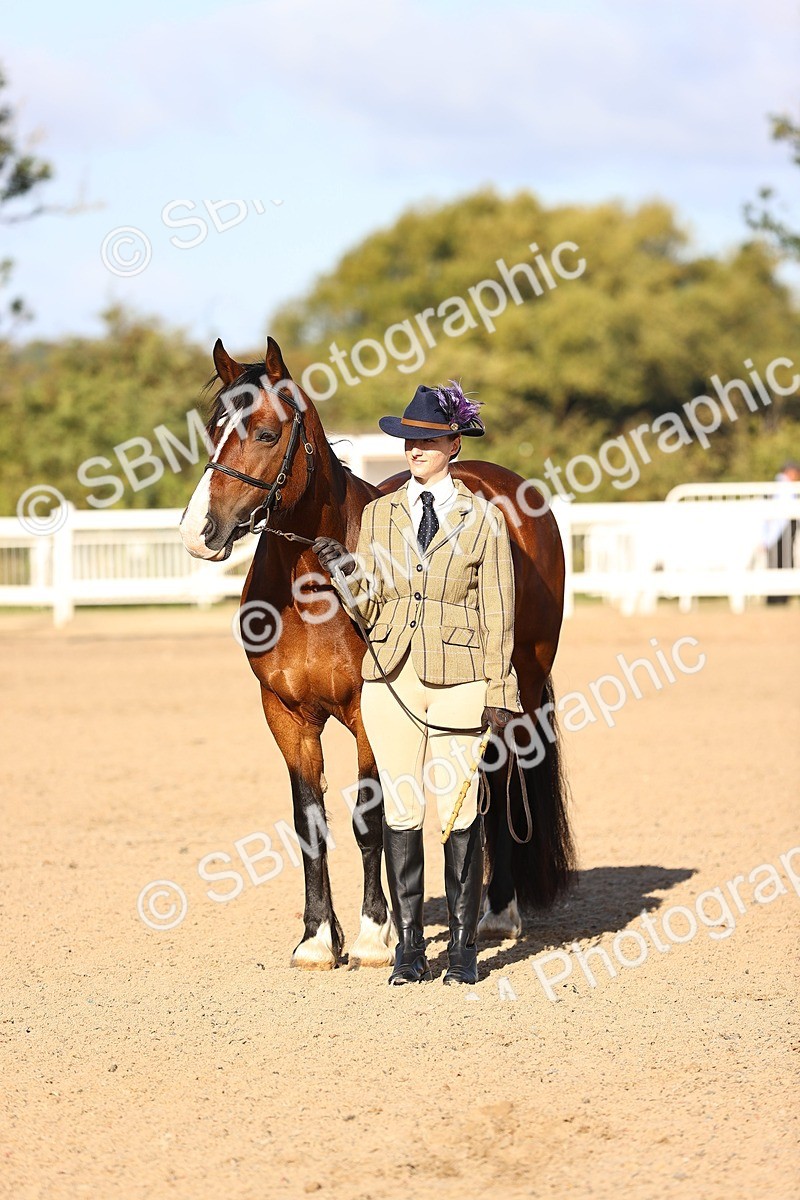 SBM_08463 - Class 402 - IH Veteran Pony