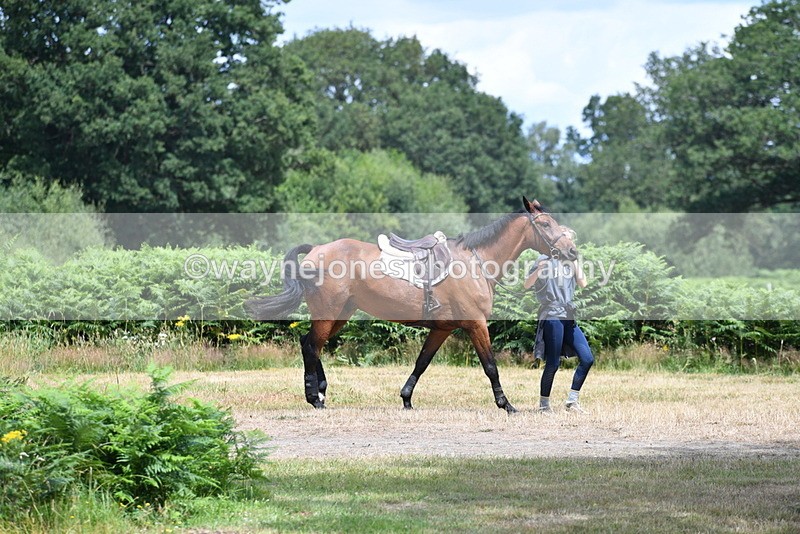 WJ5_0060 - Time 12:30 to 13:00