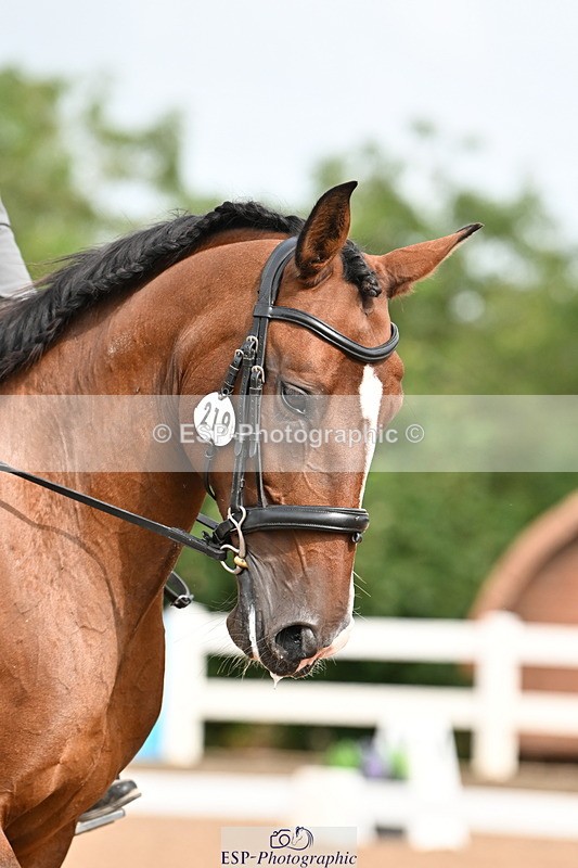 240817A-100919-07098 - 219-Sarah.Baldwin-Ervilha.Dos.Leitoes