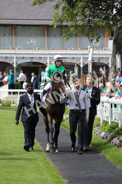 yr12062021r3-13 - Race 3 3.05pm Sky Bet Race to the Ebor Grand Cup
