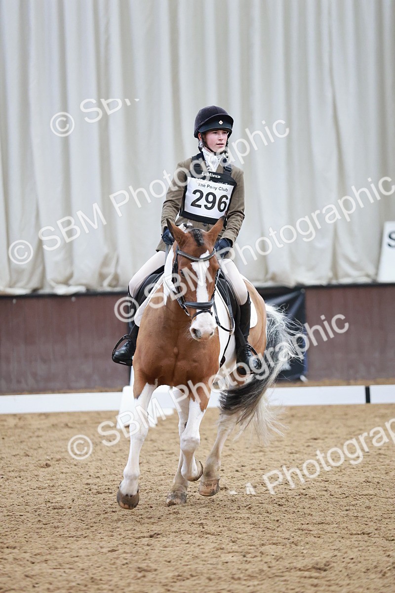 SBM_003944 - Class 2 - Novice 2020