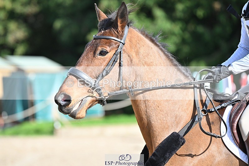 240302-123325-00964 - Cls 2 80-85cm 12.30 to End