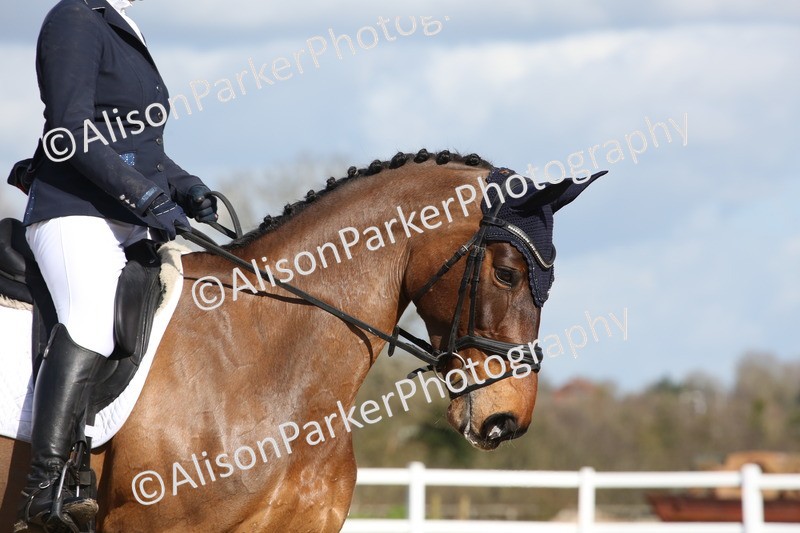 20260314-4106 - CT4 - Novice 1