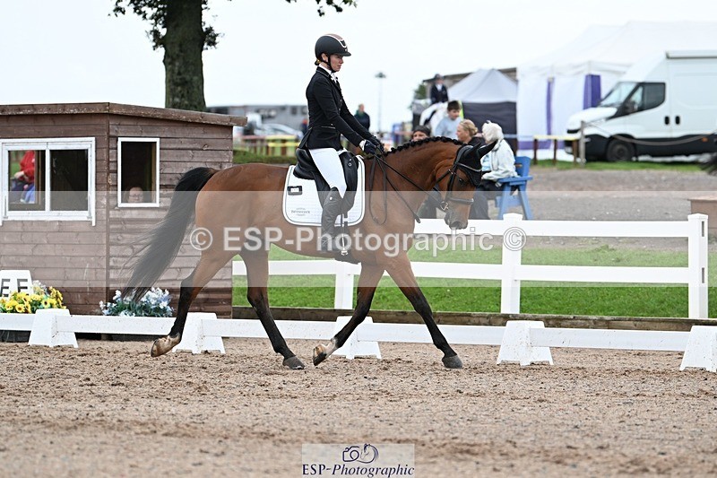 250907-121126-08242 - 066-Alice.KneenSpringtime.Marvel