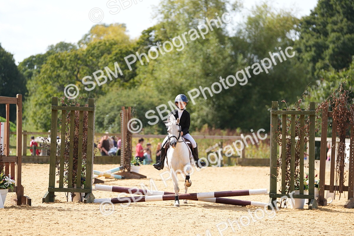 SBM_65710 - J2 - Mini Tour Junior Pony 30cm Championship