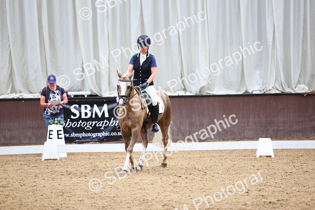 SBM_005560 - Elementary 2