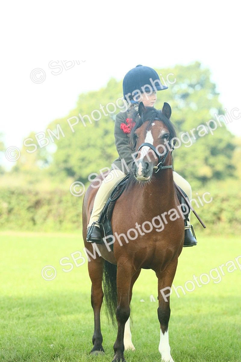 SBM_59859 - S38 - Starters Ridden Showing
