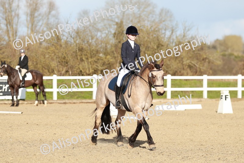 20260314-5387 - DR4 - Prelim 2