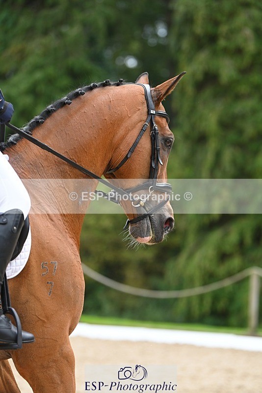 230813-133339-07595 - Cls 13 Medium Bronze 13.15 to End