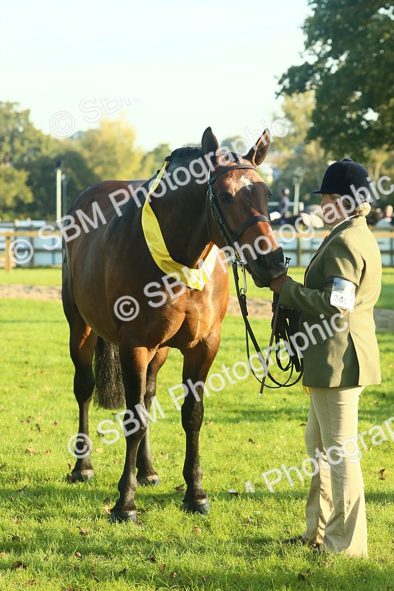 SBM_56757 - S36 - Starters Best Turnout