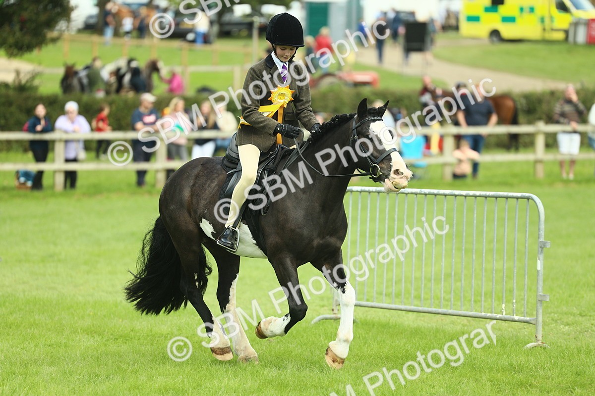 SBM_42267 - S29 - Novice & Newcomers Working Hunter Pony