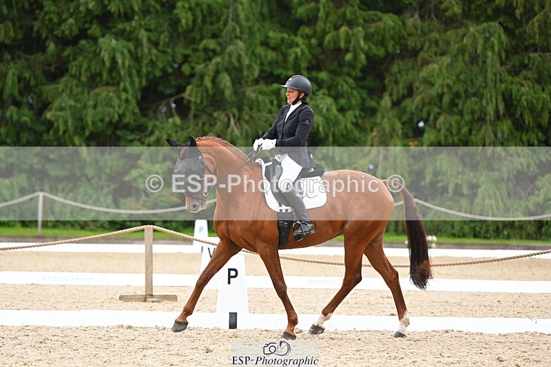 230813-143124-07785 - Cls 13 Medium Bronze 13.15 to End