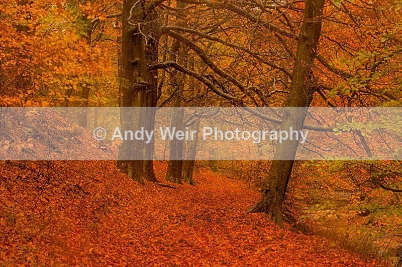 20121028-_MG_0692_HDR - England
