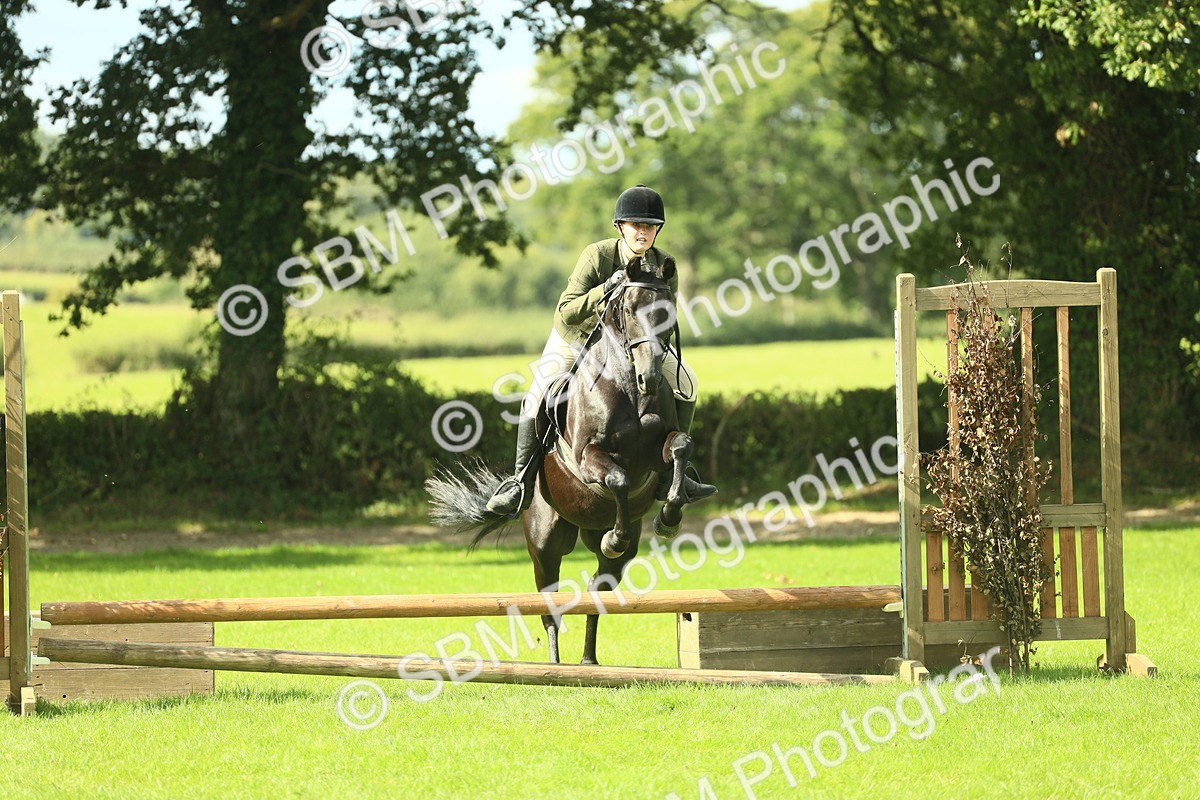 SBM_42065 - S29 - Novice & Newcomers Working Hunter Pony
