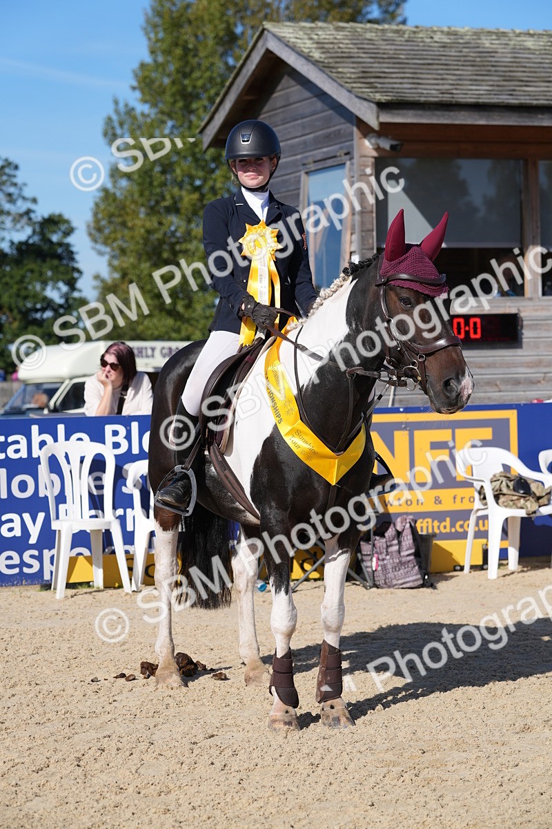 SBM_36236 - J 20 - Junior Horse 50cm Championship