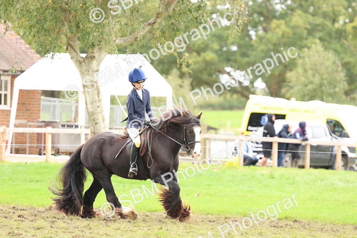 SBM_67548 - S60 - Mini Show Cob Ridden