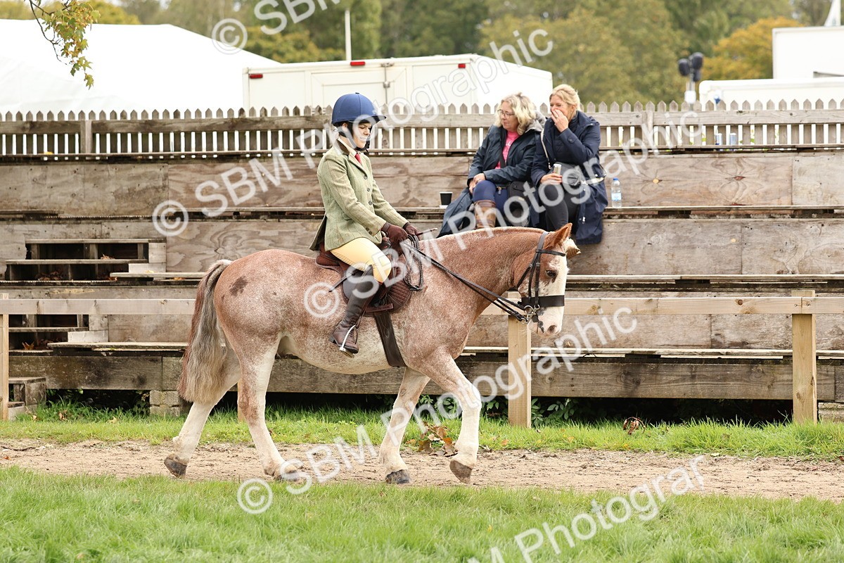 SBM_64364 - S58 - Coloured Pony Ridden
