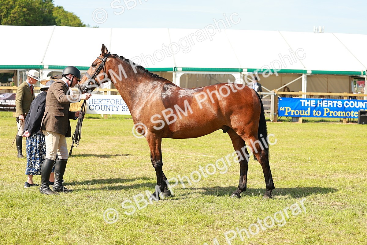 SBM_12072 - Class 66-69 - RIHS Ridden Hunters Inc Small Hunter
