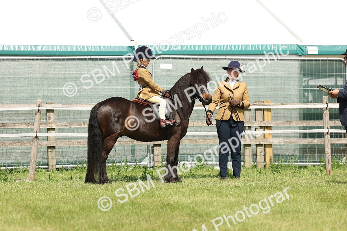 SBM_05157 - Class 24-25 - Mountain & Moorland In Hand Lead Rein and First Ridden
