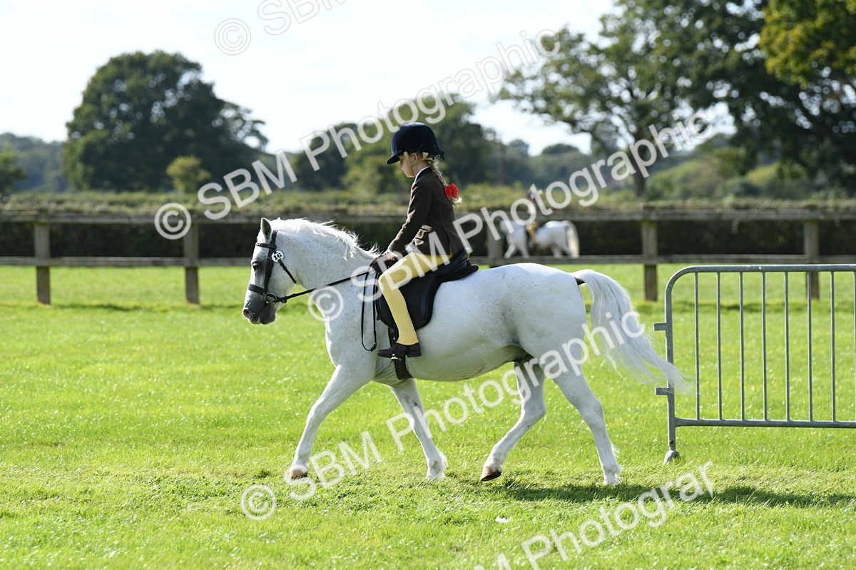 SBM_50298 - S21 - Novice & Newcomers 1st Ridden Pony