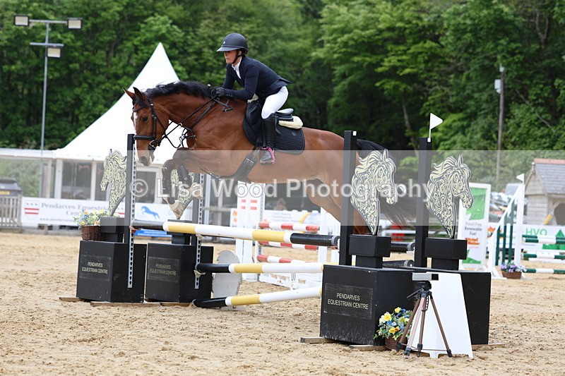 3E7A6176 - Class 4: Senior British Novice/90cm open