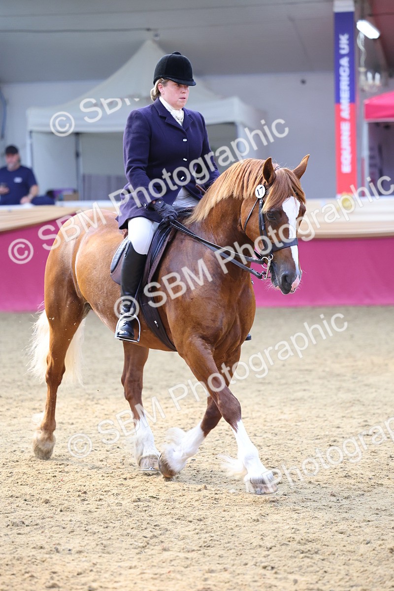 SBM_24659 - Class 906 - Supreme Final - Ridden Pre Vet