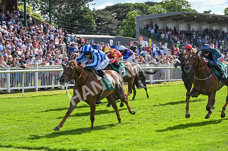 310526-Race 2-Dazzling Haze-8412 - Race 2 16.15pm Flutter Proud To Support Young Lives Vs Cancer Handicap