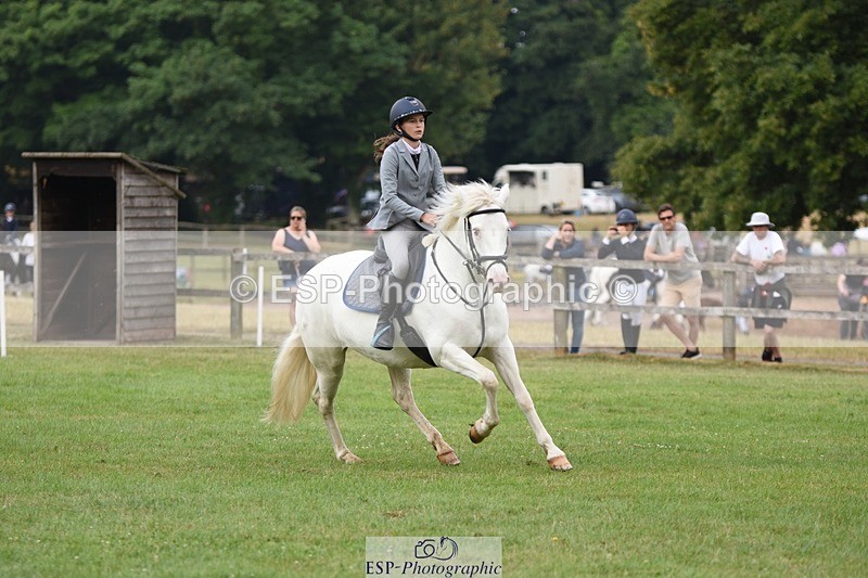 230617-094836-01675 - Cls 15 British Novice & 80cm Open