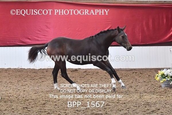 BPP_1567 - MORNING 9AM - 12PM