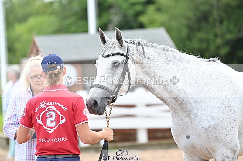 240717A-143802-02157 - Trot Up 2pm to 3pm - This folder is not in time order