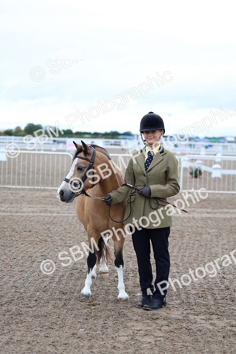 SBM_00246 - Class 13 - Young Handler