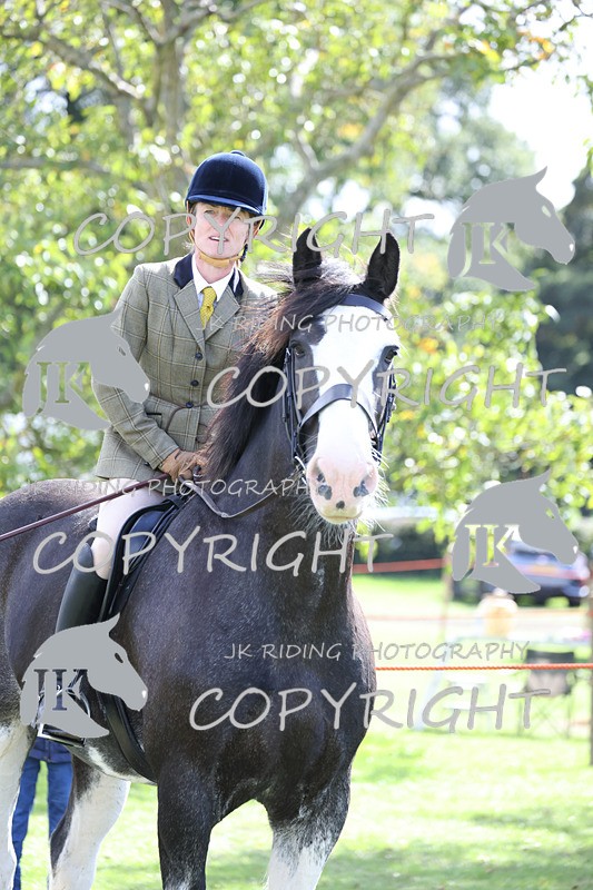 APP_3678 - Class 8 Ridden Class